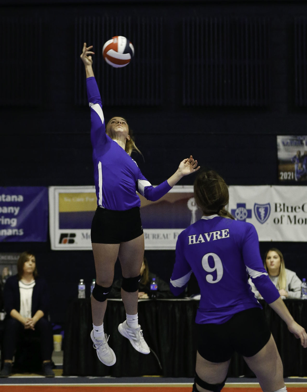 Havre's Avery Carlson